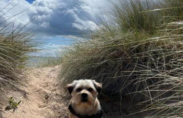 Beautiful Highland Sanctuary - Foto 55