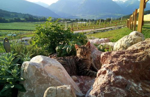 AGRITURISMO MASO PERTENER -adults friendly- - Foto 21