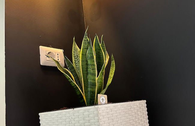 KLT Blloku Center - Foto 35