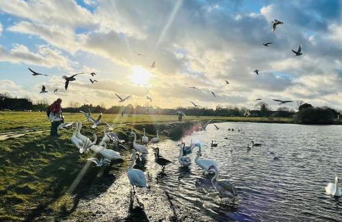 Stunning, architecturally designed Garden Studio with Parking - Foto 26