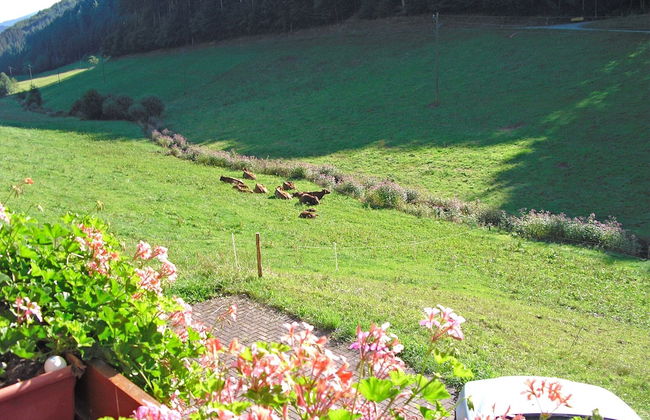 Comfortable Holiday Home in a Beautiful Location - Photo 79