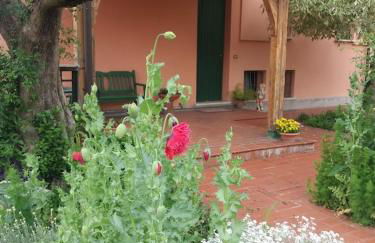 Villa Giuliana - Photo 25