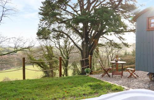 Little Silver Fox - Foto 18