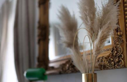 Villa Kristina - Swimming pool, Dolenja Vas - Istra - Foto 30