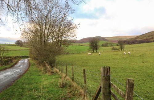 Rum Bush Cottage - Foto 35