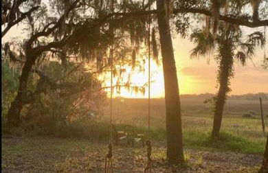 Secluded Tiny House by the Marsh with Hunting Island Beach Pass - Foto 21