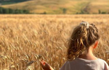 Podere Quercia al Santo - Foto 2
