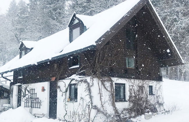 Bergwiesen - Studio House - Foto 27