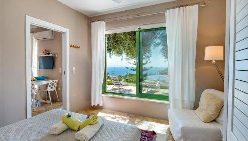 Bougainvillea - Foto 5