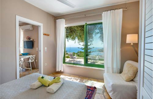 Bougainvillea - Foto 5