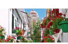 EsteponaCies - Photo 46