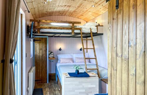 Forget-Me-Not - Uk37646 - Foto 6