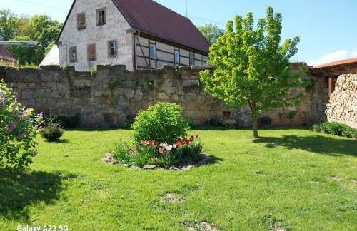 Vorwerk Wehlen - Foto 9