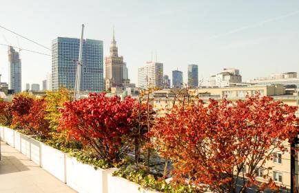 No.4 Residence - Foto 33