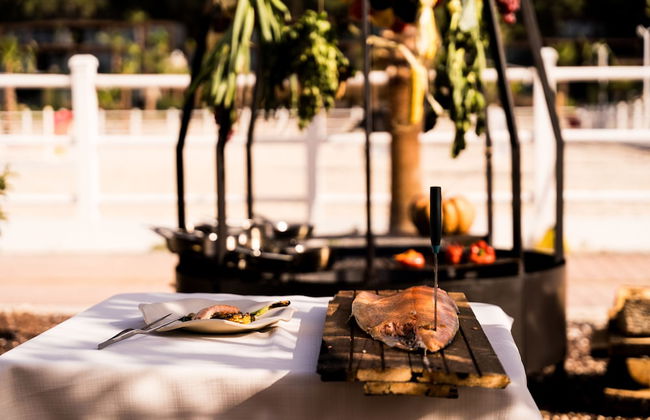 Asha Country - Foto 8