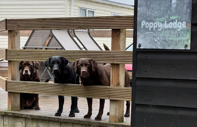 Highland Chalet Retreat in Boat of Garten - Foto 13