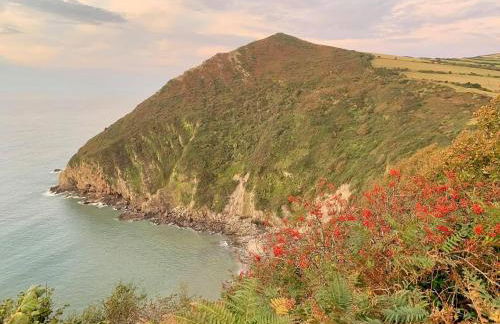 Where Families Reconnect And Dogs Truly Belong - Foto 19