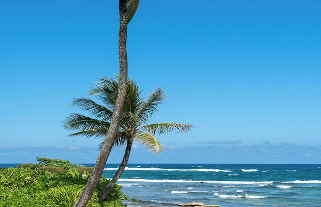 Hanalei Colony Resort I-2 - Foto 33