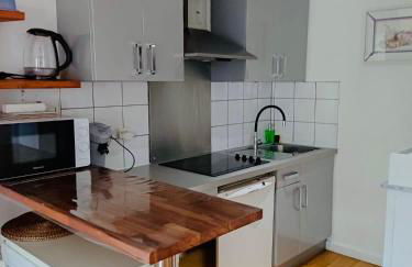 Bordeaux Centre T2 Duplex 65m Hospital Pellegrin CHU - Foto 6