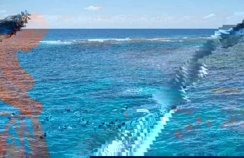 Snorkeling dans la Grande Barrière de Corail - Photo 5