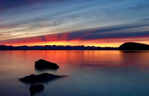 Douglas Island A-frame Cabin in the woods - Foto 19