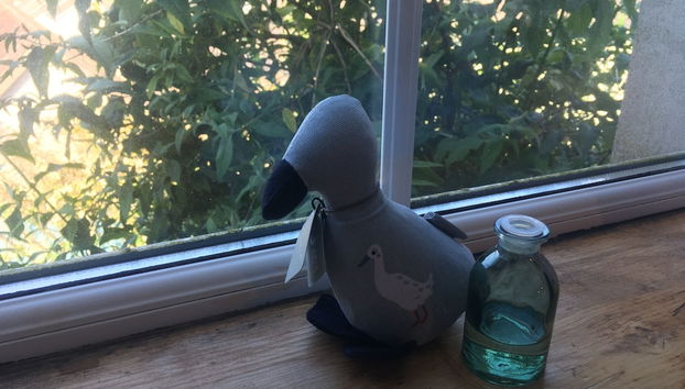 Équipements de la chambre