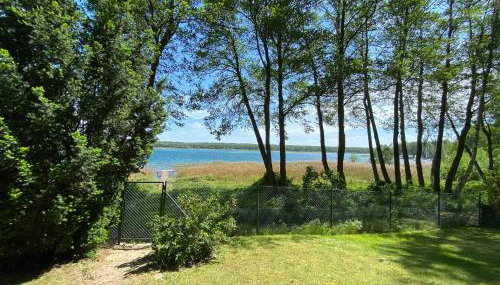 Domek Marzeń Powidz - Foto 5, Garden, Garden view