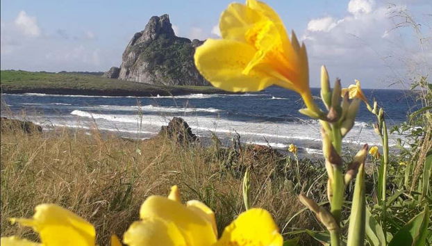 Morro São José Hiking Tour - Photo 4, Enjoying the views