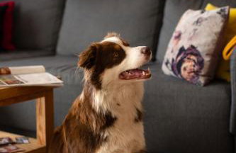 APARTAMENTY U HARREGO BOUTIQUE SPA masaże, sauna, tężnia solankowa , balkon , taras , klimatyzacja , parking - Foto 16