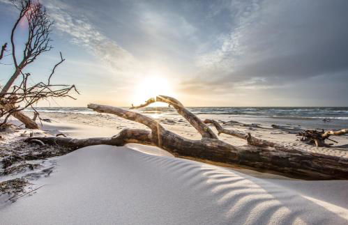 Haus Ostseenordstern Nienhagen - Foto 6