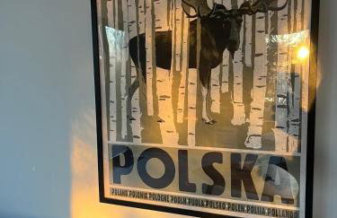 Biebrzaski - dom nad Biebrzą - Foto 13