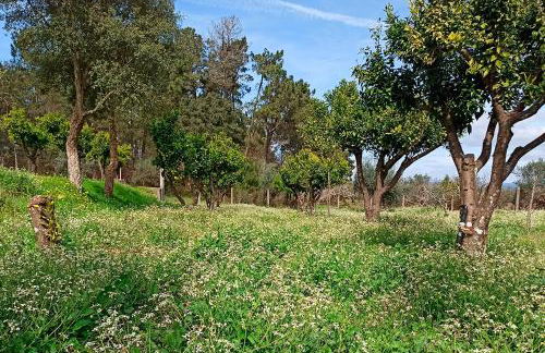 Refúgio de Alburitel - Foto 44