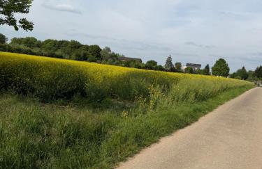 Fewo Hammelblick - Foto 15