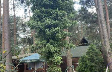 Dom Letniskowy IRENA - Foto 7