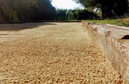 Le Gîte d'Entressen Piscine Jeux & Pétanque Istres Miramas - Foto 17