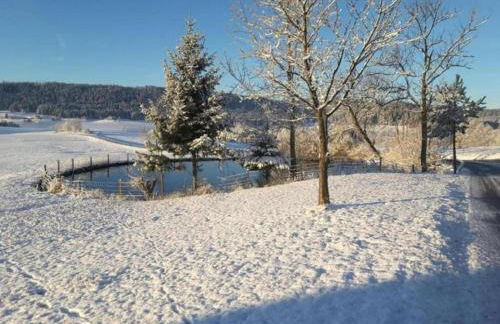 Nature Escape in Meisdorf - Foto 25