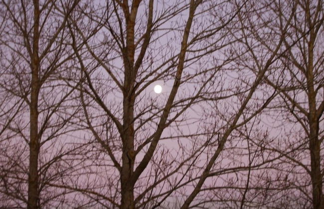 Finca Santa Eufemia - Foto 35