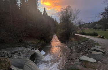 Apartament Primula 1 - Photo 18