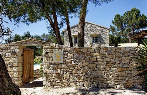 Dodo darling - Foto 19