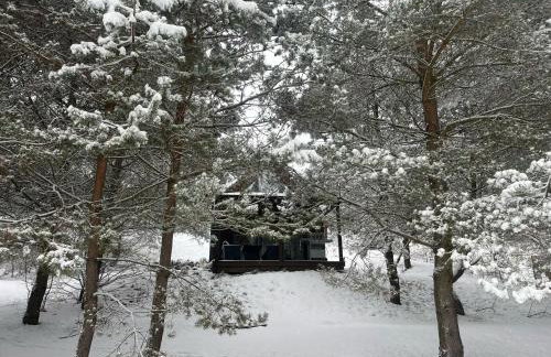 Cosy Cabin - domek na Kaszubach z sauną, balią i basenem - Foto 1