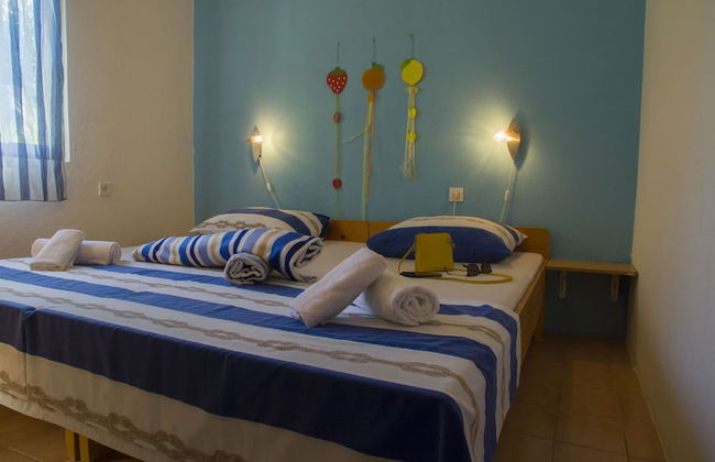 Victorious VIScovery Green - Foto 15