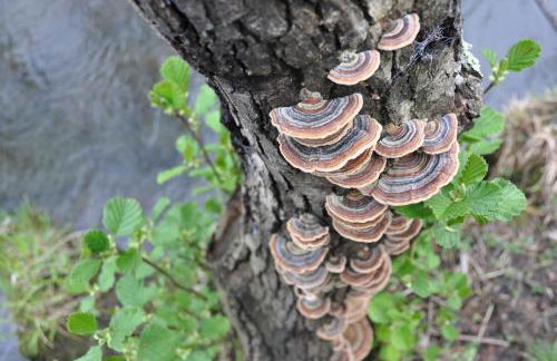 Casa Rural Las Jañonas CC-CR-00219 - Foto 16