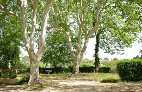 Le petit robernier - Foto 5