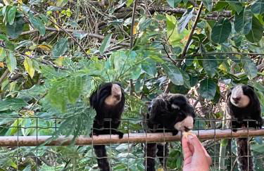 Boulevard da Praia frente para o Mar - Foto 11