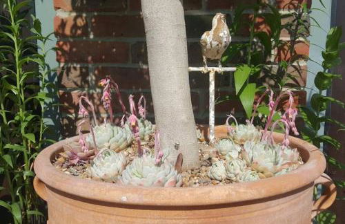 Bentley Rise - Photo 25