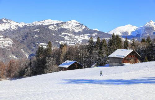 Grand Morillon-309 Appart vue pistes- 5 pers - Foto 17