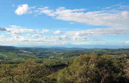 Villa Angiolina - Foto 20