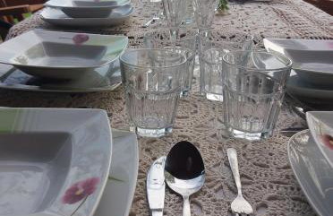 Miętowy Anioł - Foto 58