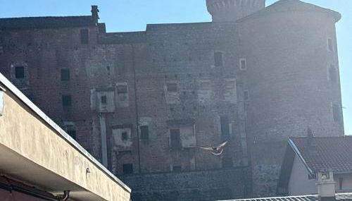 LA CASA DI AURORA - Foto 4