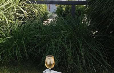 Mistral Jarosławiec - Foto 14